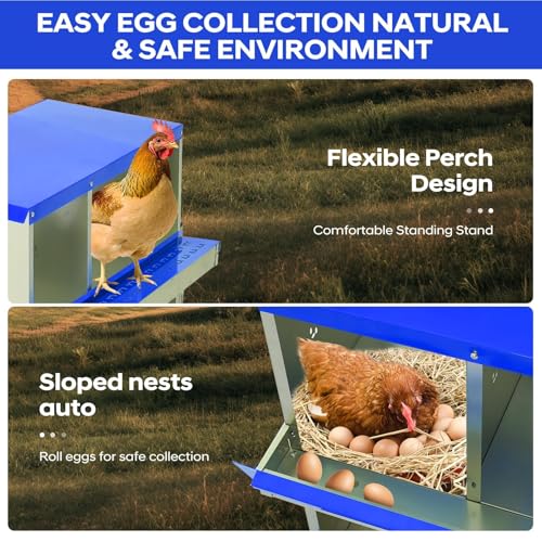 6 Compartment Chicken Nesting Box, Heavy Duty Metal Laying Box with Perch, - color: Blue, size: 6 Compartments with legs