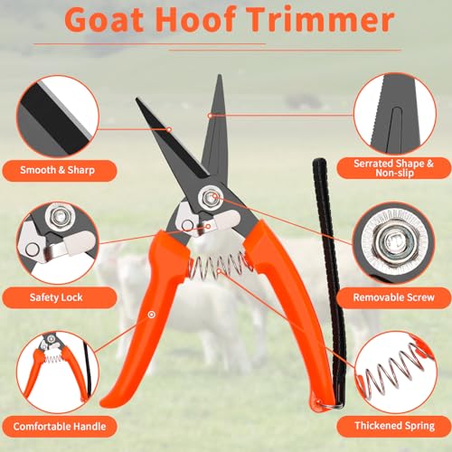 Goat Hoof Trimmer Kit, 8” Goat Hoof File Trimmer for Sheep | Double-Sided File/ Shears/ Storage Bag