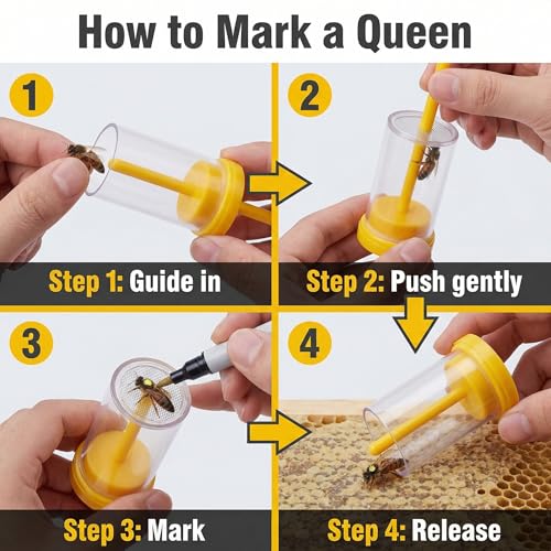 Queen Catcher Marking Bottle for Queen Bees, Clear Tube with Mesh Plunger, Yellow 1 Pack, Beekeeping Tool for Hive Inspections and Controlled Marking