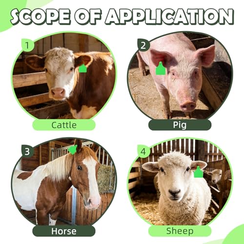 Blank Cattle Ear Tags 100PCS TPU Oversize 4.1x3 Inch Livestock Tags | Identification Tags for Cows Calves Cattle Goats Sheep Pigs Hog Fade Resistant Farm Animal Management (Green) - style: Green
