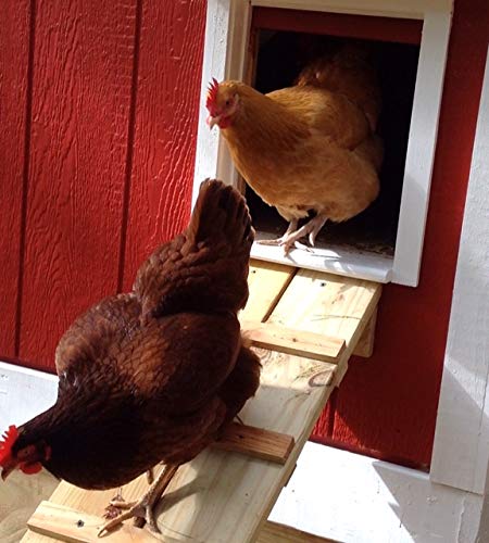 Opener with Timer Included | Auto Vertical Sliding Pop Door for Poultry
