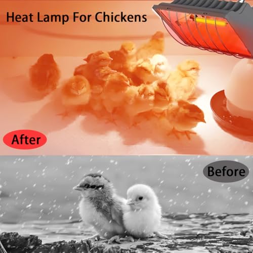 Heat Lamp for Chicken Coop, 250W Waterproof Chicken Coop Heater for Indoor & Outdoor Used, Infrared Heat Lamp with Adjustable Temp & Height, Ideal for Poultry, Livestock & Small Pets
