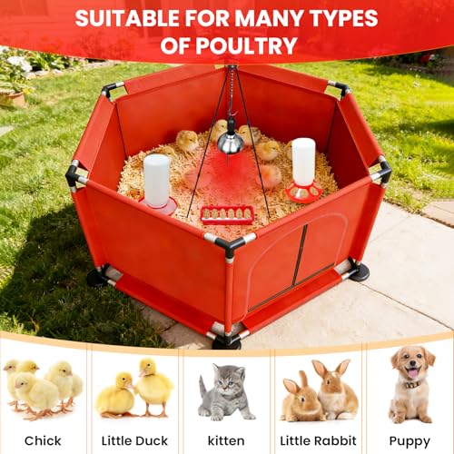 Chicks Brooder Box for Chicken Starter Kit–Includes Heat Lamp, Chick Feeder and Waterer Set, Perch & Sawdust for Up to 30 Baby Chicks, Ducklings & Quail–Complete Poultry Brooder Set