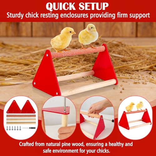 Chicken Feeder and Waterer Set with Chick Perch, Cool Baby Chick Feeder and Waterer Set, Chick Waterer, Baby Chicken Supplies for Small Poultry Chicks Ducks Quail Pigeons Birds(RED)