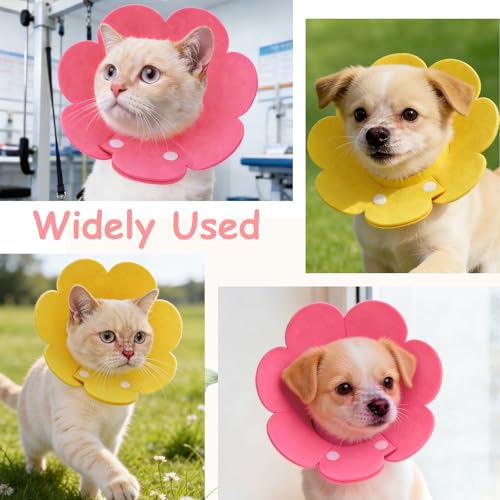 Felt Cat Recovery Collar, Cute Flower Cat Recovery Collar Adjustable Recovery Cones (2Pcs, M 8.7-9.8inch, Sky Blue) for Small Dogs Kittens Cats - color: Blue, size: M（2.5-4.5 KG/5.5-9.9 lb）