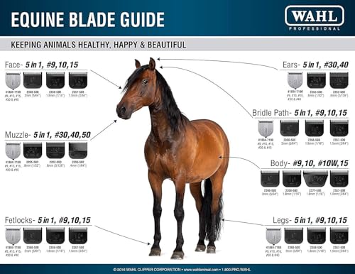 Wahl Professional Animal Figura Horse Clipper Kit, 8868-200, Metallic Red | 5-in-1 Adjustable Blade, Slim and Quiet Design, Trims Faces, Ears, Muzzles, Bridle Paths, and Fetlocks, 180-Minute Run Time