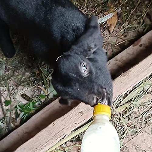 Baby Goat Nipple, 20 Pieces Goat Lamb Teat Feeder Bottle Topper Feeding,Soft Rubber Goat Milk Drinking Nipple for Nursing Lambs,Puppy (Yellow, 20 Pieces) - color: Yellow