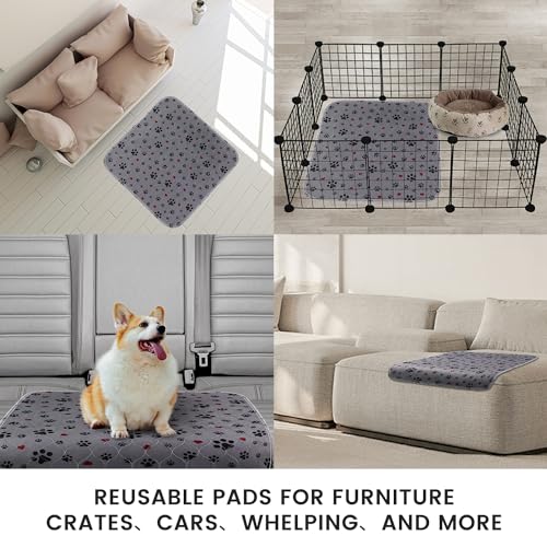 Washable Pee Pads for Dogs,2 Pack Extra Large 36"x36" Super Absorbent Reusable Puppy Pads,Non-Slip 100% Waterproof Dog Pee Pads,Pet Training Pads for Couch, Crate,Potty Training,Floor - size: 36X36 Inch（Pack of 2）