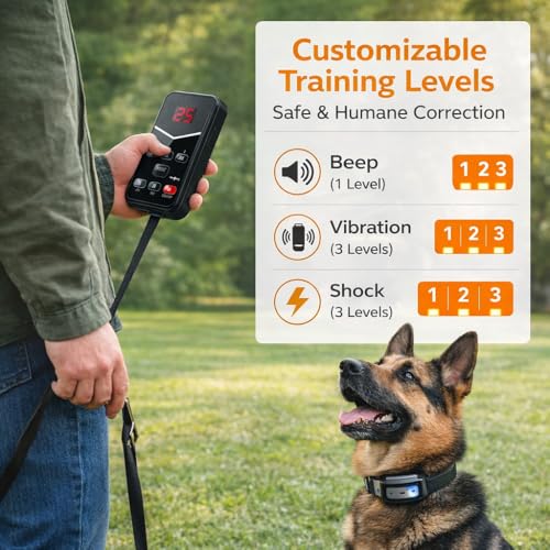 2026 Advanced 2-in-1 Wireless Dog Fence & Dog Training Collar for 2 Dogs, Portable with LCD Display, Adjustable 300M Range & Warning Levels, Rechargeable, Wireless Dog Fence (Black) - color: Black