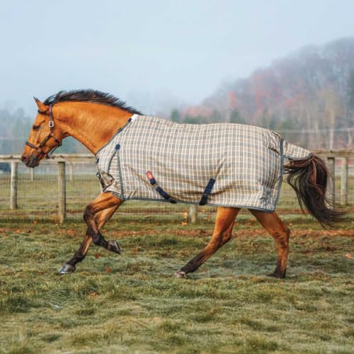 Baker HW Turnout Blanket 400 Gram 76
