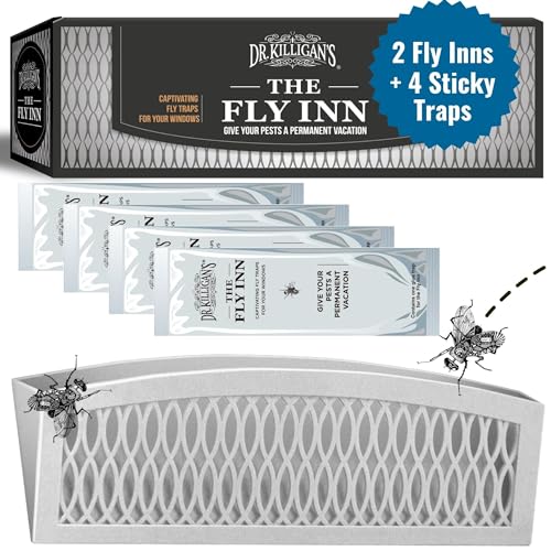Dr. Killigan's Sticky Window Fly Traps Indoor, 2 Traps + 4 Inserts | Indoor Insect Trap, Catches and Hides Bugs, Looks Better Than Fly Paper or Fly Ribbon