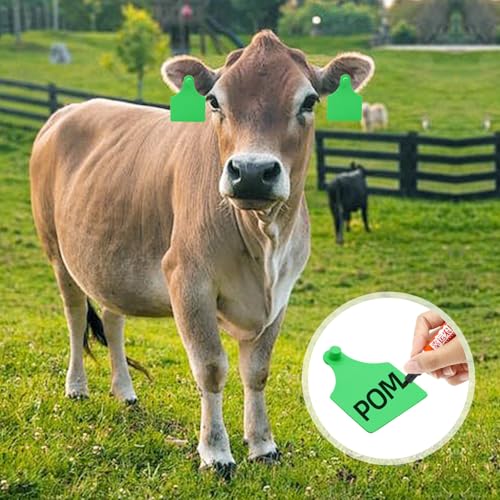 TPU Large Size Split Type Blank Large Cattle Ear Tags,50PCS Upgrade to Prevent Tampering Livestock Ear Tags, for Cattle,Sheep Goat, Pig, 3.9x2.9in (Green) - color: Green
