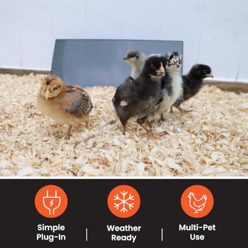 Cozy Products Cozy Coop Chicken Coop Heater, Flat-Panel, 150 Watts | Wall Mount or Free Standing, Electric 150 Watts Safer Than Heat Lamps Warms Inside Chicken Coops Flat Panel 2 Inches Deep