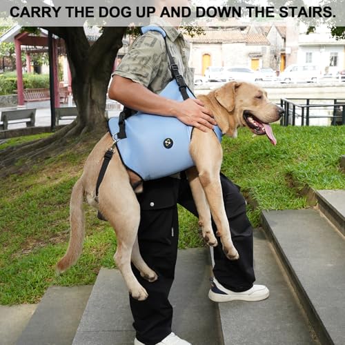 Coodeo Dog Lift Harness, Pet Support & Rehabilitation Sling Lift Adjustable Padded Breathable Straps for Old, Disabled, Joint Injuries, Arthritis, Loss of Stability Dogs Walk (Blue, S) - color: Blue, size: Small