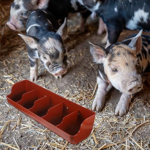 GANAZONO Piglet Feeding Trough Plastic Pig Feeder for Dry Wet Food and Water 5 Slot Pig Trough Feeder Easy Clean Livestock Feeding Tool 21.25 X 7.08 X 5.11 in