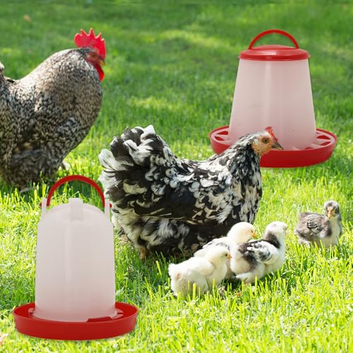 Chick Feeder and Drinker kit Hanging 3.3 Pound Chicken Feeder & 1.58 Quart Poultry Waterer for coturnix Quail. Broilers Ducks and Geese