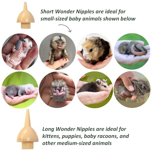 Wonder Nipple - Nursing Nipple for Baby Animals - Handfeeding Baby Squirrels, Sugar Gliders, Hedgehogs, Guinea Pigs, Raccoons, Prairie Dogs, Opossums, and More! (Short)