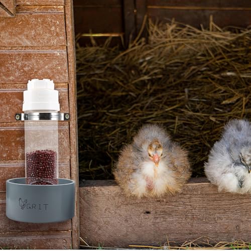 Kalekey 2 Pack Transparent PVC Chicken Feeder, Oyster Shell and Grit Feeder Hanging Ground Chicken Coop Feeder with Hanging Hook for Hens & Chicks (Grey) - color: Gray