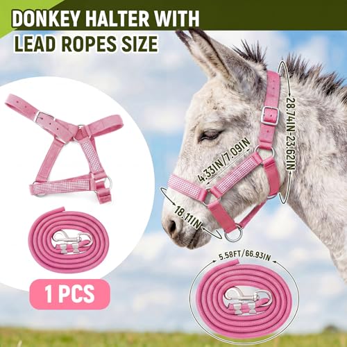 1 Set Mini Donkey Halter with Lead Rope Adjust, Pink | Nylon Head Collar, Cute and Stylish, for Miniature Donkey and Small Equines, Farm Ranch Pasture Outdoor, Gingham Plaid Trim - color: Pink
