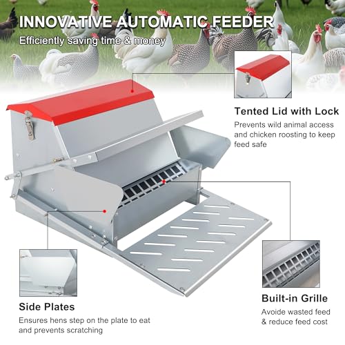 25lbs Automatic Chicken Feeder-Metal Treadle Poultry Feeder, No Waste Rat Proof Chicken Feeder with Sturdy Galvanized Steel Build and Weatherproof Locking Lid for Duck, Fowl, Pheasant Outdoor