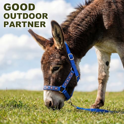 1 Set Mini Donkey Halter with Lead Rope Adjust, Blue | Nylon Head Collar, Cute and Stylish, for Miniature Donkey and Small Equines, Farm Ranch Pasture Outdoor, Gingham Plaid Trim - color: blue