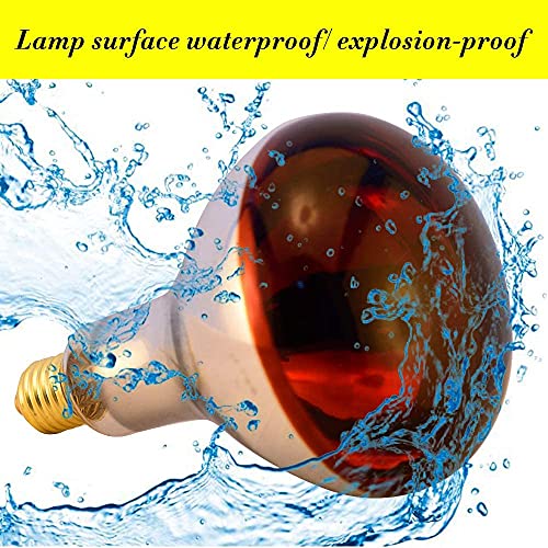 Heat Lamp Bulb R40 250 Watt 2 Pack Painted Red Infrared Glass Lamp Bulb for Food Service, Brooder Bulb, Chicks, Pet, Bathroom.