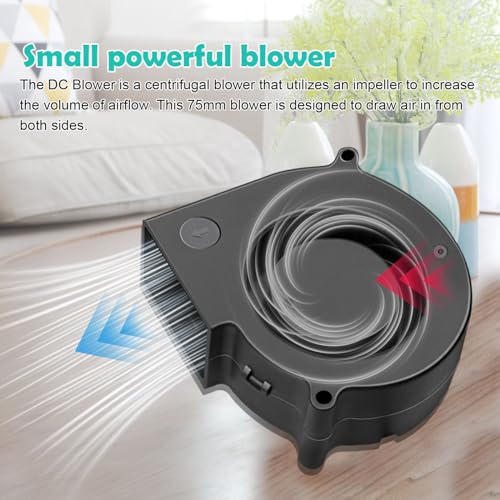 75mm x 30mm Brushless 24V DC Squirrel Cage Blower Fan Dual Ball Bearing High Performance Small Centrifugal Cooler 2Pin - style: 75 x 30 24v2p