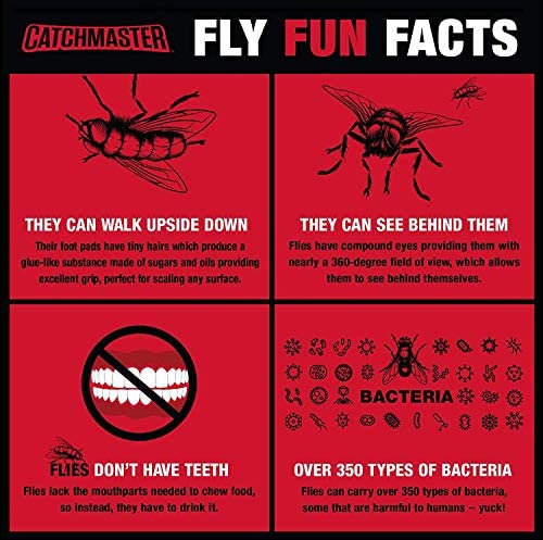 Catchmaster Fly Trap Bundle, Fly Ribbon 20-Pack & Outdoor Fly Jar 6-Pack, for Garage, Backyard, Pool, Patio & Camping