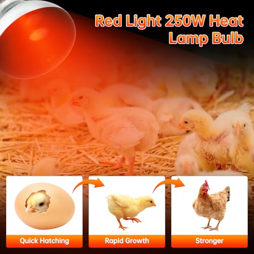 LUCKY HERP Heat Lamp for Chickens, 250 Watt Red Heat Lamp Bulbs, Infrared Heat Lamp for Chickens, Chicks, Reptile, Pets, Brooder Coop, Poultry (1 Pack) - size: 250*1