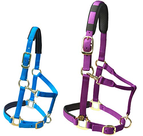 T TEKE Adjustable Horse Halters by Heavy Duty Soft Nylon, Padded with Anti-rubbing Waffle Neoprene on Both Crown & Nose - color: Purple, size: XXS Pony