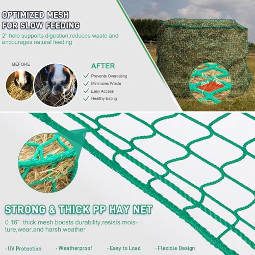 6x6 ft Square Bale Hay Net - Large Slow Feeder for Horses & Livestock, Knotless Design Slow Feeder Hay Nets, Fits 4x4ft 5x5ft 6x6ft Round & 3x3x8ft 4x4x8ft 5x5x8ft Square Bales (Green-Square) - color: Green-Square