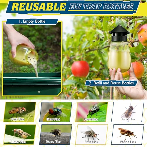 Qualirey Reusable Outdoor Hanging Fly Trap Bottles with Bait Refill, Non Toxic Flies Trap Jar, Fly Catcher Killer Flying Control for Outside Farms, Stables, Barns, Garden, Patio (3 Pack,Design)