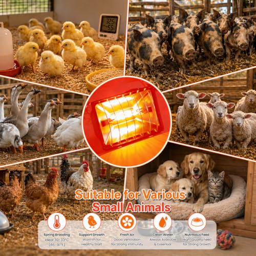 Chicken Brooder Heater for Chicks, Chick Brooder Heat Lamp with 250W & 175W Heating Bulbs, 4 Adjustable Heat Levels for Baby Chicks, Quail, Ducklings & Poultry Brooding