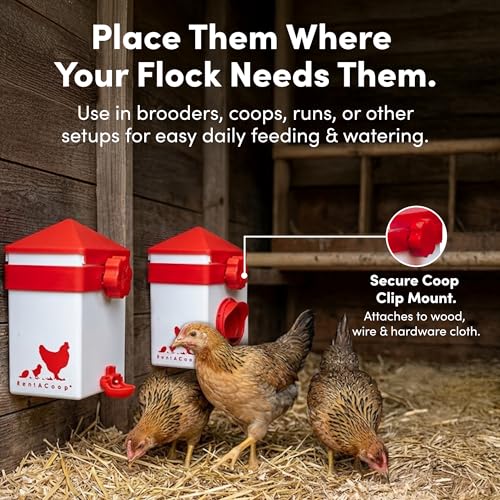 RentACoop Chick2Chicken 2.5lb Medium Port Feeder and 64oz Drinker Set