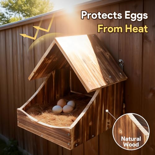 Chicken Nesting Boxes, 2 Pack Wall-Mounted Wooden Nesting Box, Specialized for Chicken Coops, Features a Cozy & Private Laying Space, Suitable for Chickens, Ducks and Other Poultry - color: 2 Pack