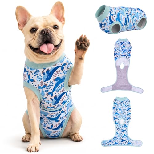 PetWarm Surgical Suit for Dogs After Neuter, Dog Surgery Suit, Cone of Shame Alternatives, Dog Surgical Recovery Onesies Female Male Dogs, Marine Animal Patterns, Blue, XS - color: White Blue, size: X-Small