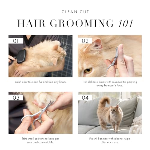 Tweezerman Pet Grooming Scissors-Rounded Tip Trimming Scissor for Dogs/Cats - style: Scissors
