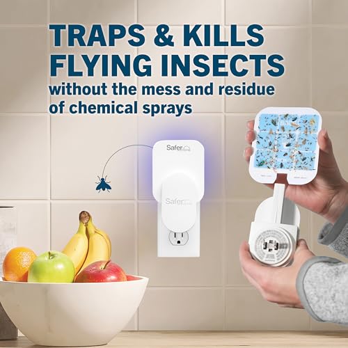 Safer Home Flying Insect Trap, Plug-in Fruit Fly Trap for Indoors, 2-Pack | Flying Insect, Moth, & Gnat Trap, Fruit Fly Killer, Fly Catcher, 24/7 Catch, Chemical-Free, 2 Traps + 2 Glue Cards, SH502-2SR - size: 2 Traps + 2 Glue Cards