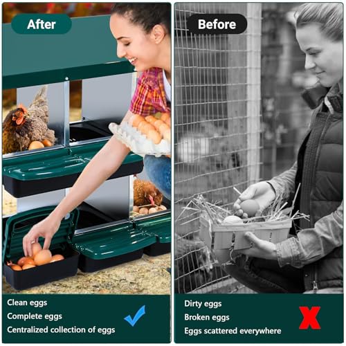 Chicken Nesting Boxes, 6 Holes Metal Chicken Egg Laying Box with Swing Perch and Rollout Egg Collection,for Various Chicken Breeds Without Stand - Green 0.6mm - color: Green 0.6mm-6 Holes, size: Without Stand