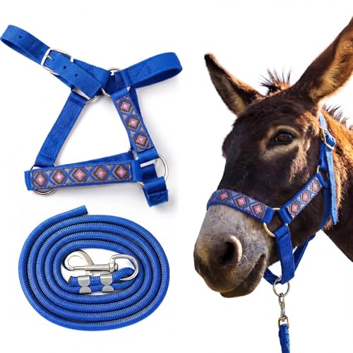 1 Set Mini Donkey Halter with Lead Rope Adjust, Blue | Nylon Head Collar, Cute and Stylish, for Miniature Donkey and Small Equines, Farm Ranch Pasture Outdoor, Gingham Plaid Trim - color: blue