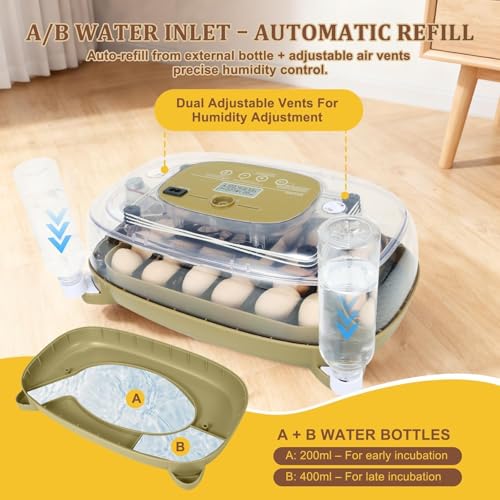 Series III - 24 Egg Automatic Incubator, Full-Stage Adaptive Humidity (Dual-Bottle) & Auto Temp Control, Custom-Interval Auto Turn & Auto Stop, Preset Incubation Days, Adjustable Egg Spacing, Candler - size: 24-Egg Green