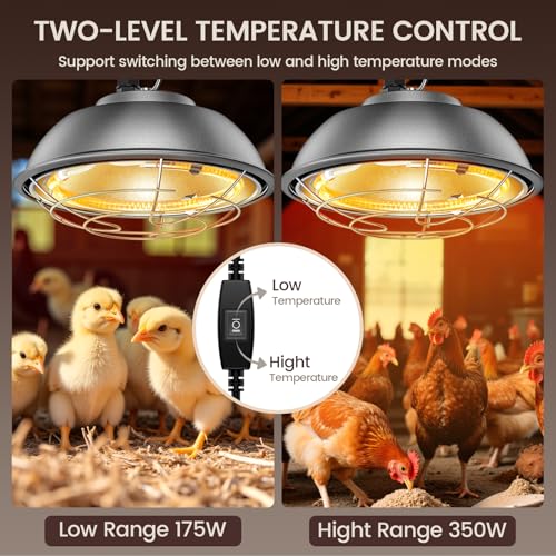 350 Watt Heat Lamp for Chickens - Chtoocy Chicken Coop Heater with Carbon Fiber Bulb, 5.2FT Thickened Power Cord & Chicken Heat Lamp with 2 Temperature Adjustable (175/350W) for Chicks, Ducks and Pets