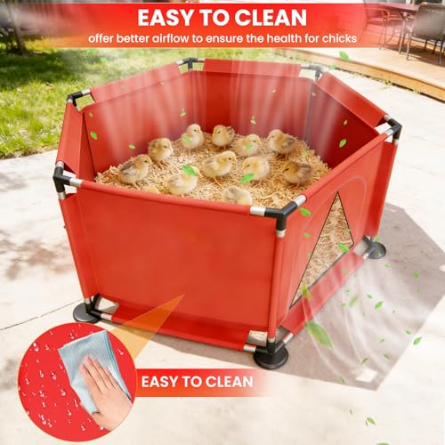 Chicks Brooder Box for Chicken Starter Kit–Includes Heat Lamp, Chick Feeder and Waterer Set, Perch & Sawdust for Up to 30 Baby Chicks, Ducklings & Quail–Complete Poultry Brooder Set