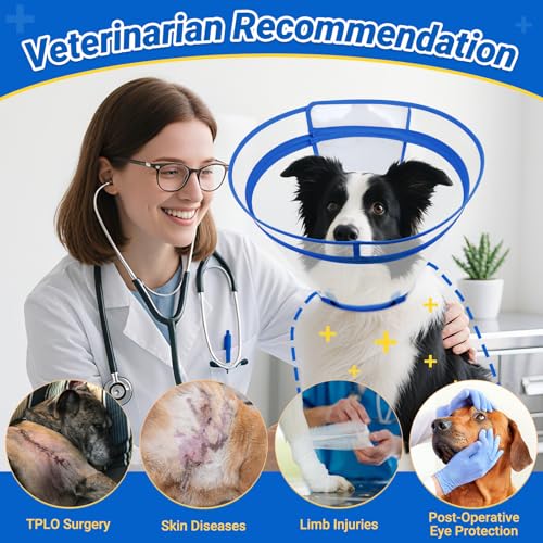 Dog Cone to Stop Licking, Clear Recovery Collar with Detachable Zipper, Sturdy Elizabethan Collar for Large Medium Small Dogs, Soft Adjustable Cone After Surgery Patented, Blue M - color: Blue, size: M(Neck: 11.75"-13.75")