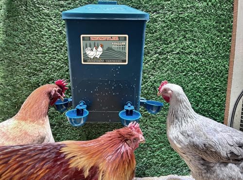 Chicken Waterer, Chick Water, Chicken Coop Accessories - 6 Gallon Capacity, 2-Pack 3 Gallon (26 pounds Total) (Prussian Blue, Large). - color: Prussian Blue