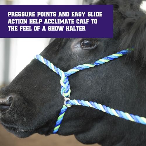 Weaver Livestock Poly Rope Breaking Cattle Halter, Adjustable, Modern Style Cow Calf Halter, Livestock Handling Equipment for Showing, Blue - color: Blue