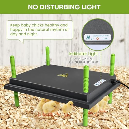 Chick Brooder Heater Plate for 40 Baby Chicks Ducks | 12" x 16" Brooder Heating Plate, Adjustable Height, 30W, 110V - size: 16.3"L x 12.0"W x 3.0"H