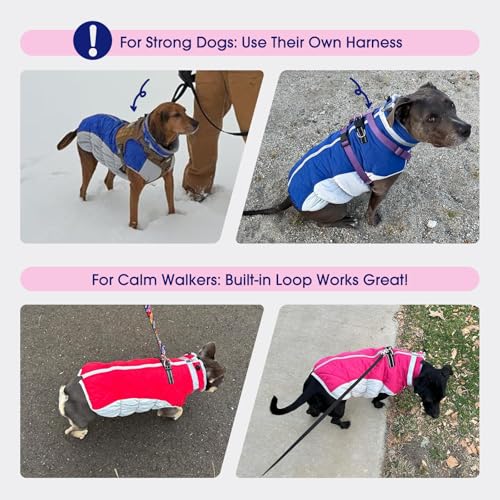 Dog Coat for Large Dogs, Fleece Dog Winter Jacket with Harness | Puppy Cold Weather Coats Reflective Pet Puffer Vest with Zipper Water-Resistant Warm Dogs Snowsuit Windproof Rose Pink XL - color: Rose Red, size: XL(chest:30in）