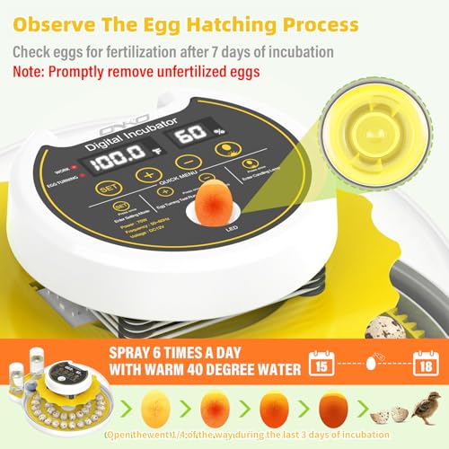 Quail Egg Incubator for Hatching 40 Quail Eggs with Automatic Turner | and Humidity Control,Small Brooder, Outdoor Poultry Egg Incubator, Suitable for Parrot Canary and Other Bird - color: Yellow