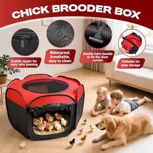 Brooder Box for Chicks, Portable Chicken Brooder Kit with Pad, Storage Bag & Pegs, Pop-Up Chick Starter Pen for Indoor Outdoor Use, Fits Up to 15 Baby Chicks or Ducklings